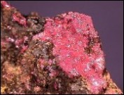 Cuprite